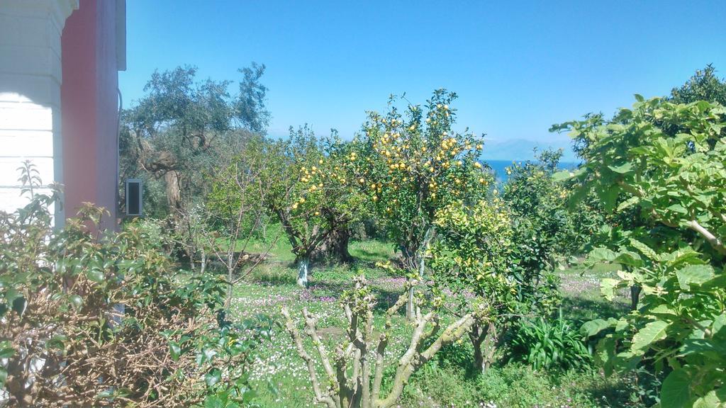 Maria's Paradise דירה *
