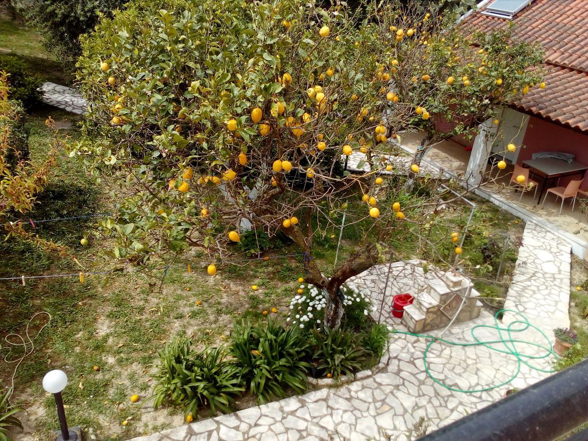 דירה Maria's Paradise Astrakeri