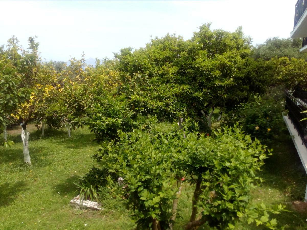 דירה Maria's Paradise Astrakeri
